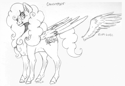 candypuff-ref-sketch.png