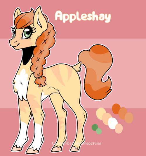appleshay-ref.png