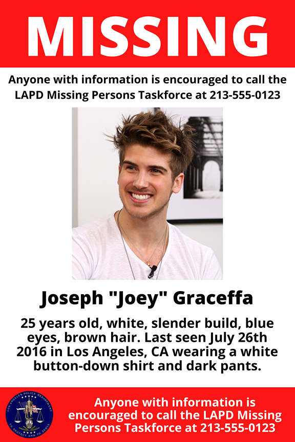 Fake missing poster - Joey