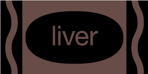 liver.png