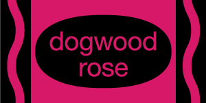 dogwood rose