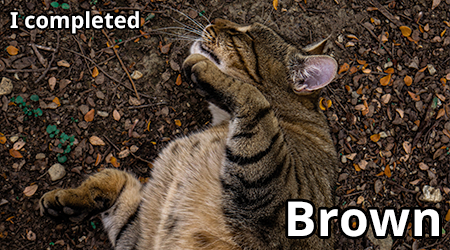 brown.png