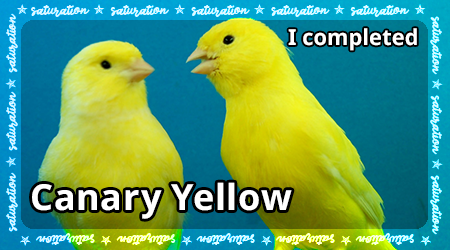 canary-yellow-saturation.png