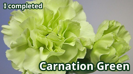 carnation-green.png
