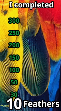 feathers10.png