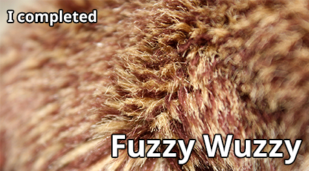 fuzzy-wuzzy.png