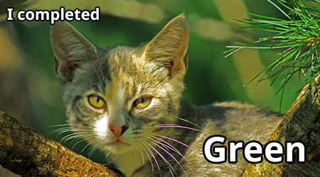tabby cat in a tree with text I completed Green