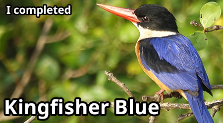kingfisher-blue.png