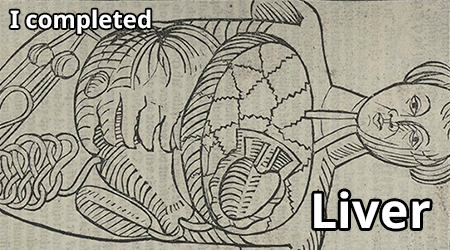 liver.png