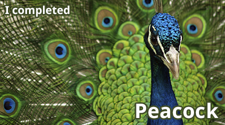 peacock.png
