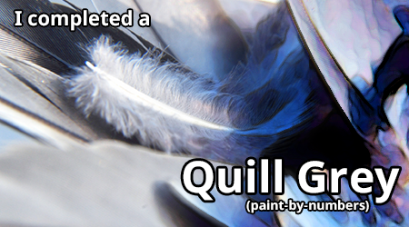 quill-grey-paint-by-numbers.png