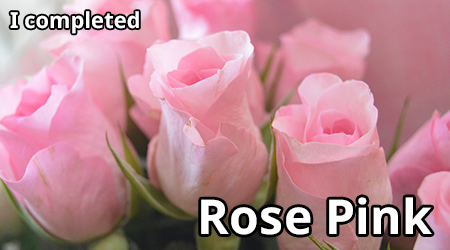 rose-pink.png