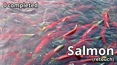 salmon-retouch.png
