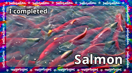 salmon-saturation.png