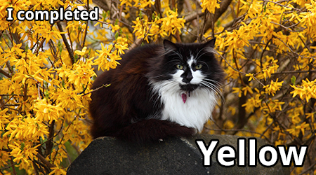yellow2.png