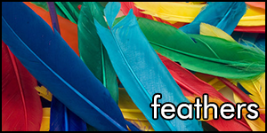 feathers