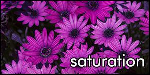 saturation