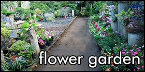 flower garden