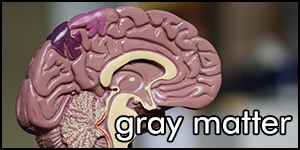 gray matter