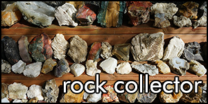 rock collector