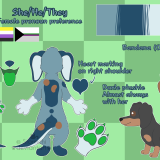 Dachshund furry ref