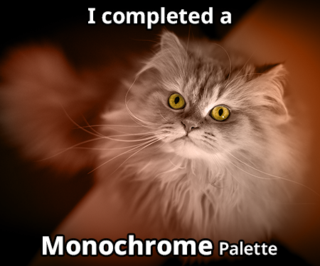 monochrome4.png