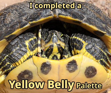 yellow-belly.png