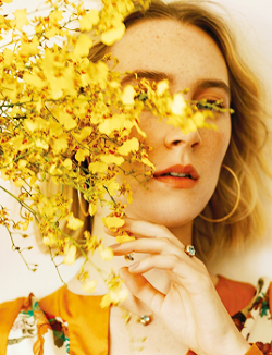 saoirseronandaily @ tumblr