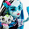 frankie stein doll from monster high generation 3