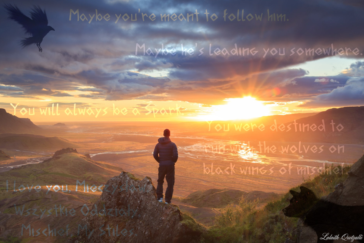 An image of a man standing on a mountain overlooking the midnight sun of Iceland. A raven is in the top left corner, and a wolf is in the bottom right corner. The text displays quotes from the text: Maybe you’re meant to follow him.; Maybe he’s leading you somewhere.; You will always be a Spark. You were destined to run with the wolves on black wings of mischief,; I love you Mieczysław, Wszystkie Oddziały, Mischief, My Stiles