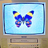 a cathode tube ray computer with a butterfly on the screen