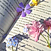 a book with multicolored flowers in it