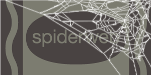 spiderweb