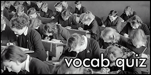 vocab quiz