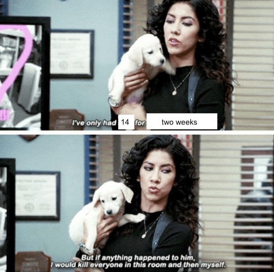 14-2-weeks.jpeg