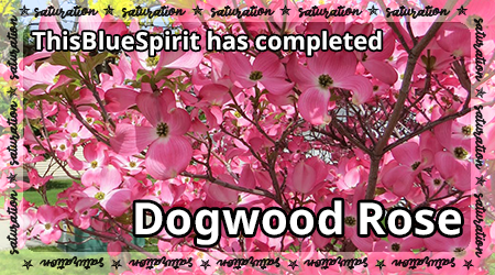 thisbluespirit-dogwood-rose-sat.png
