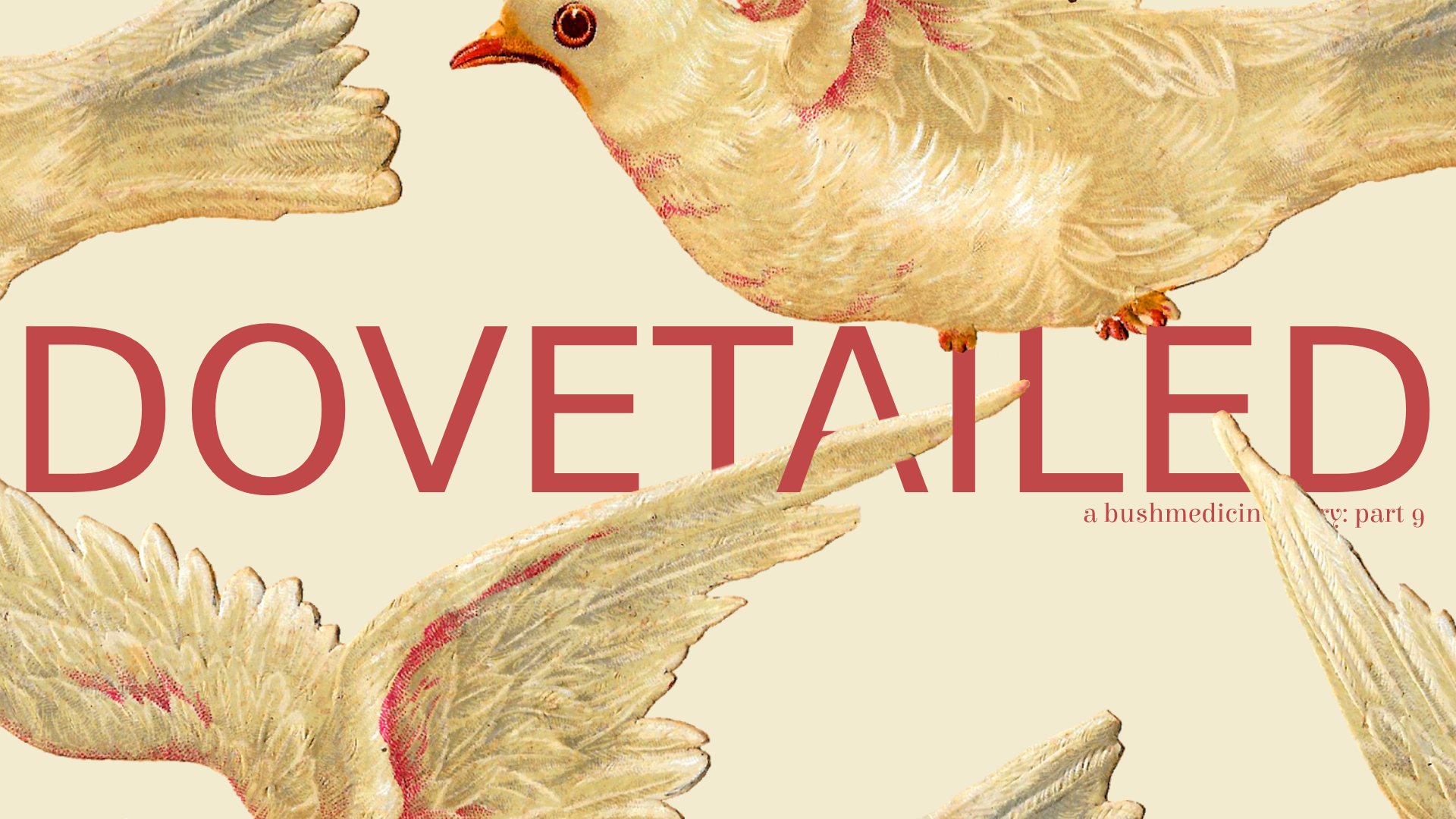 dovetailed poster