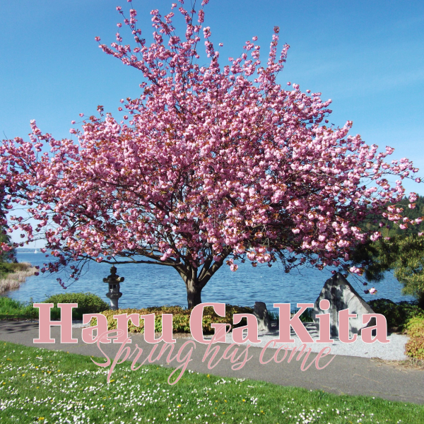 Haru-Ga-Kita.jpeg