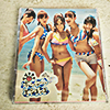 akb48 ponytail to shushu jewel case