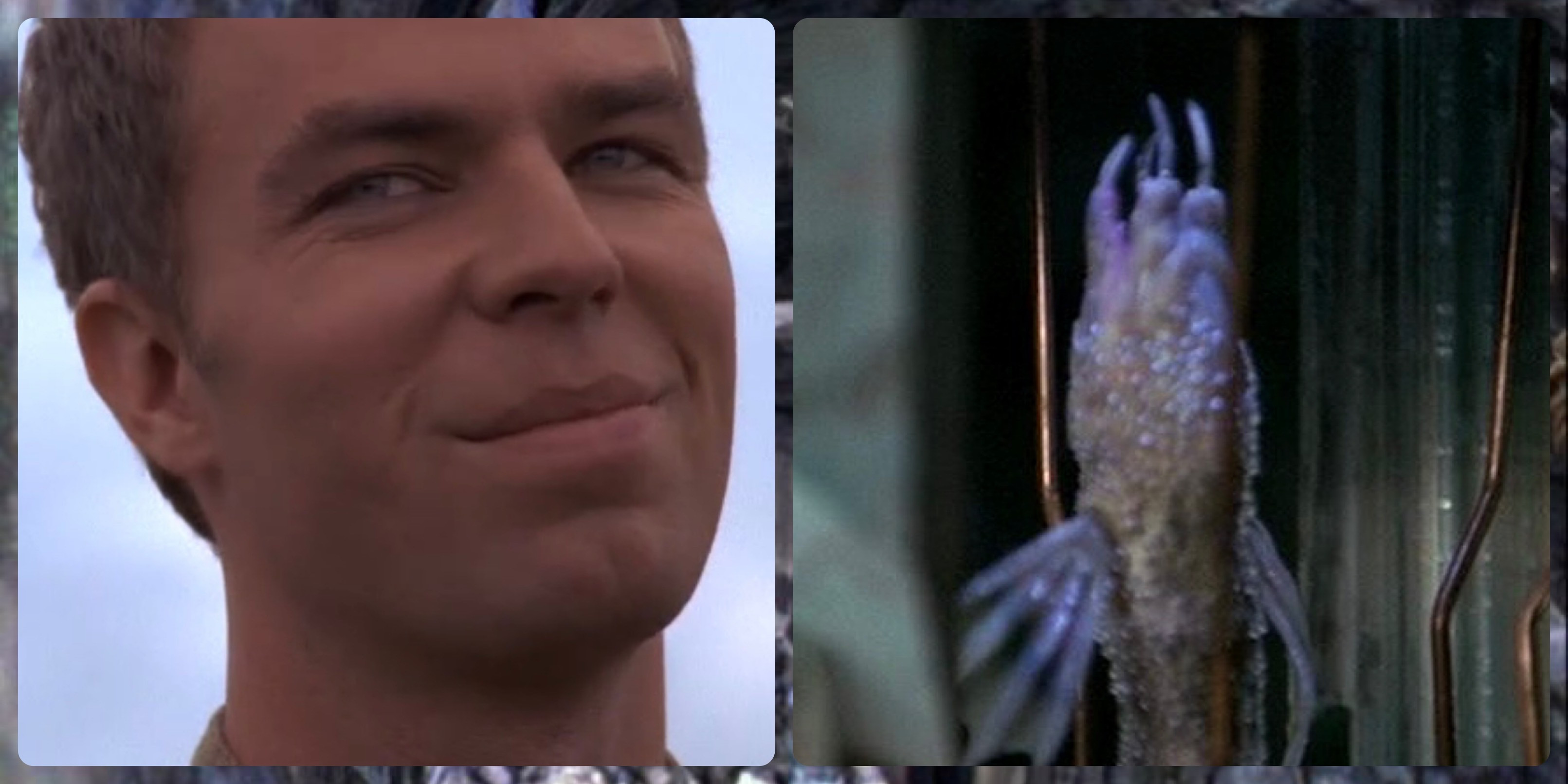 Images of Lantash smirking and his symbiote self.