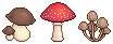 brown_red-mushroom-fungi.png