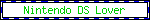 nintendo-ds-lover.gif