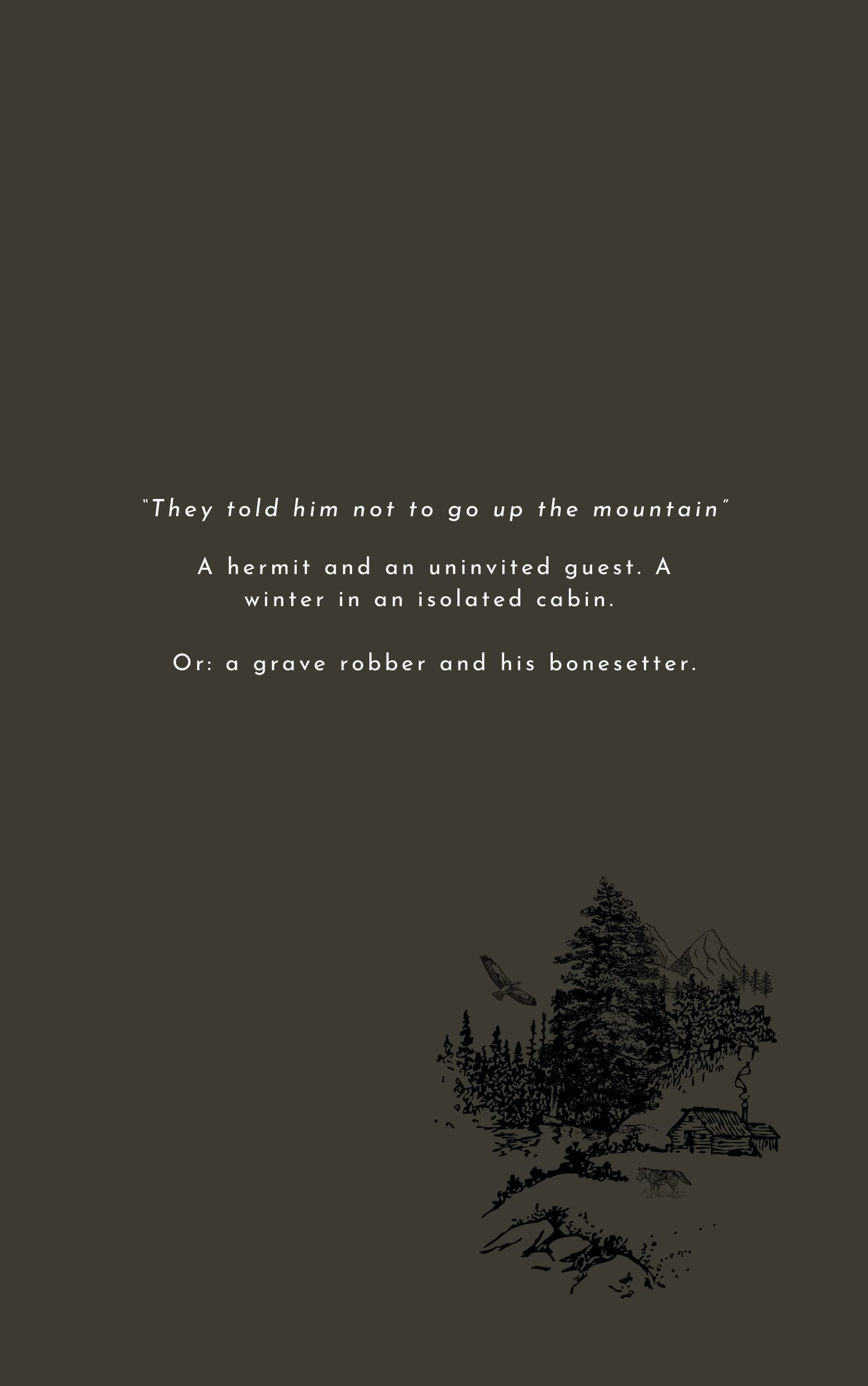 A dark rectangle, like a book cover. Text in the centre reads 'They told him not to go up the mountain.' A hermit and an uninvited guest. A winter in an isolated cabin. Or: a grave robber and his bonesetter.' In the bottom right corner is a monochrome illustration of a tiny cabin, trees, a mountain peak, a bird flying in the sky, and a wolf.