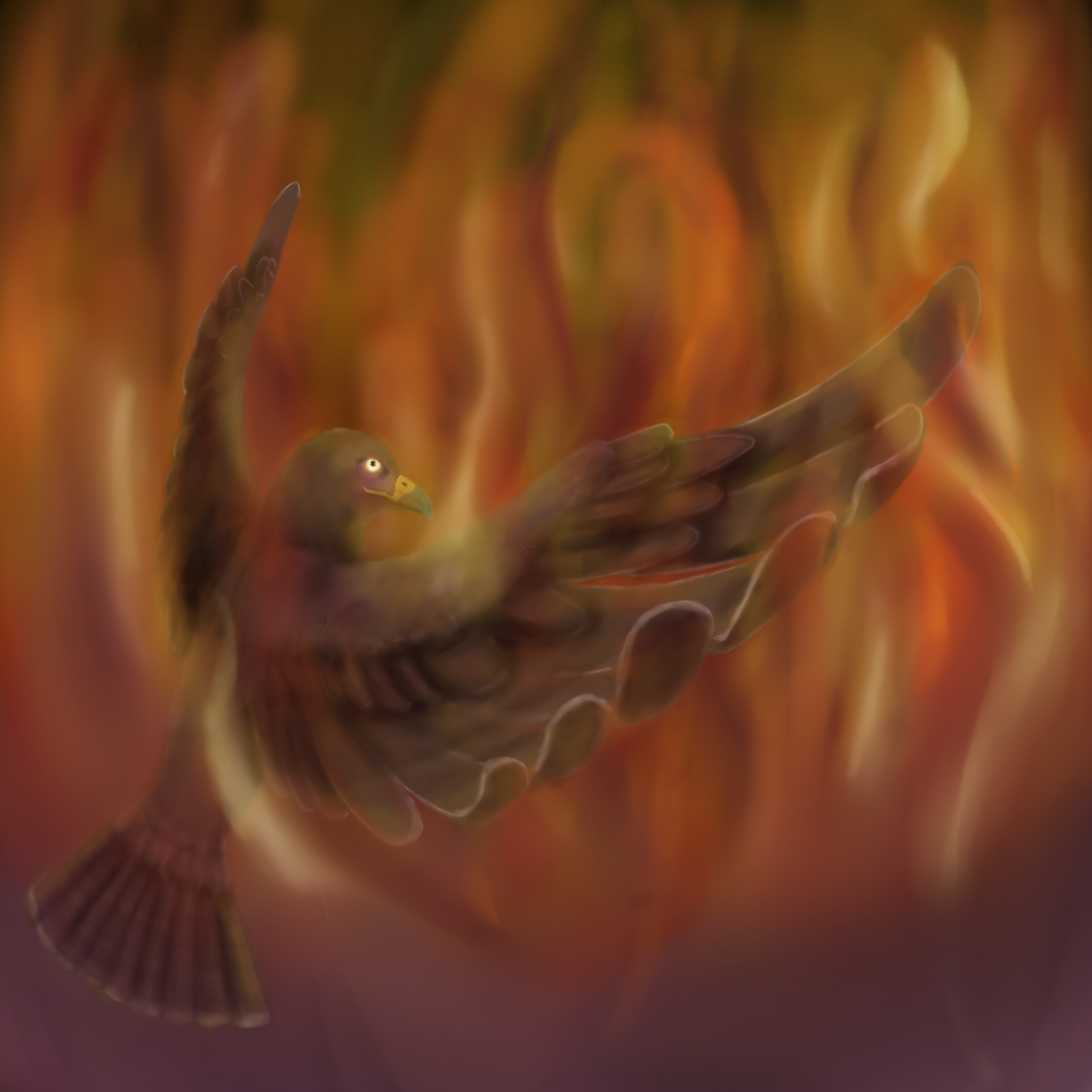 Desolation is a Firehawk