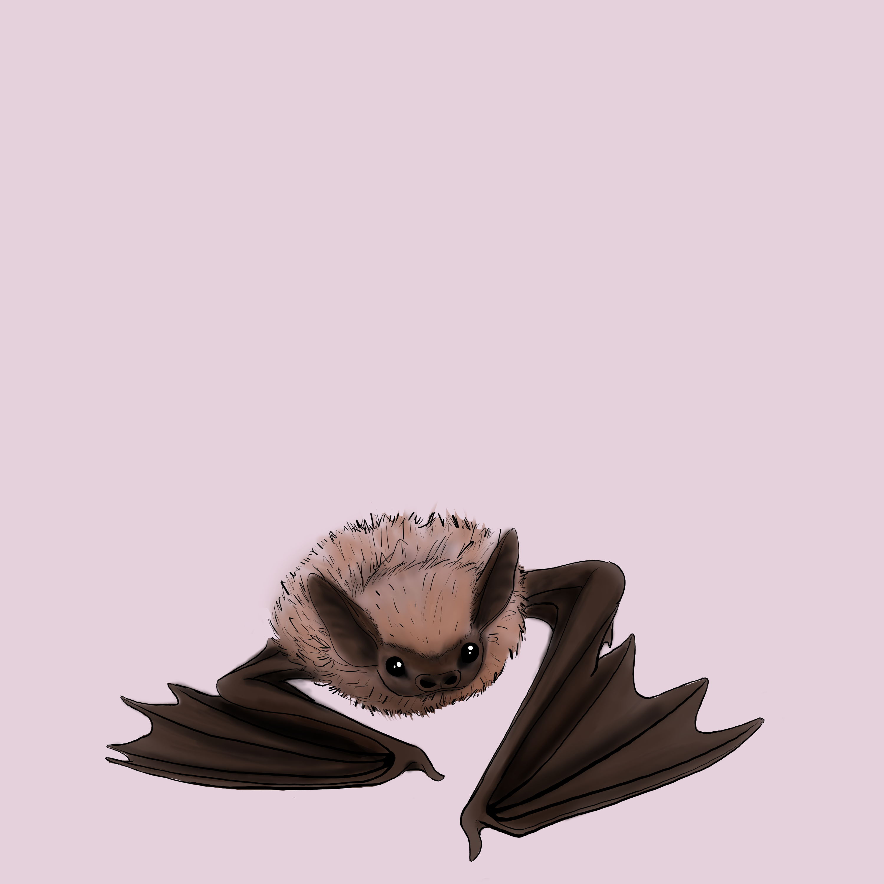 Peanut in Margie's Eyes