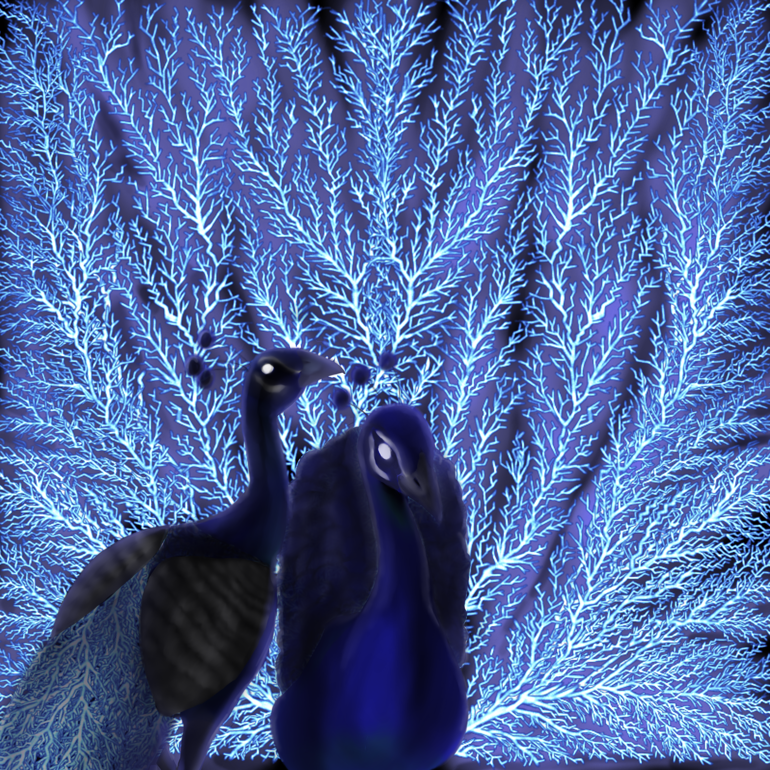 Spiral were peacocks with Lichtenburg figure tails