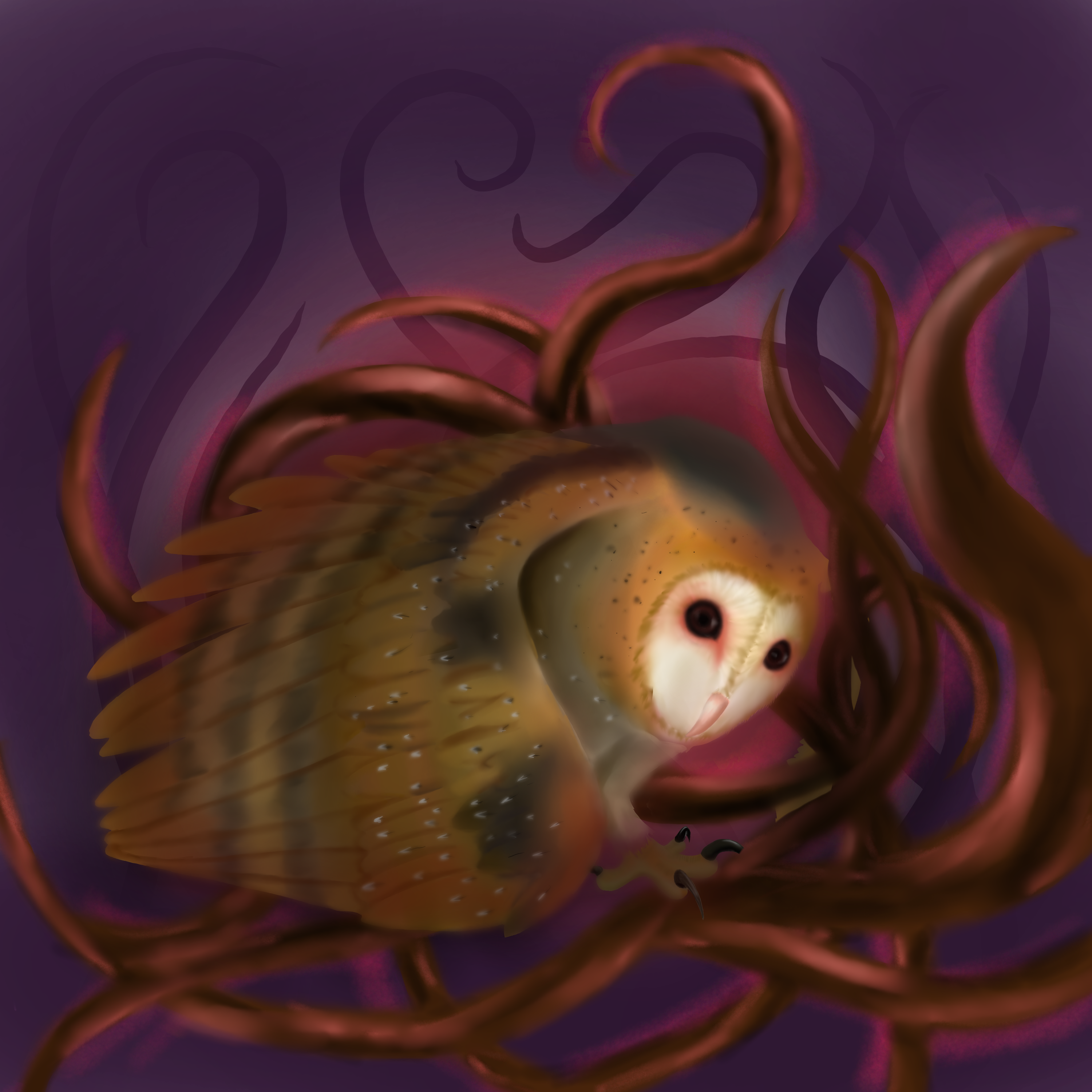 The End is a Barn Owl (I like the eye even if I can't really draw owls)