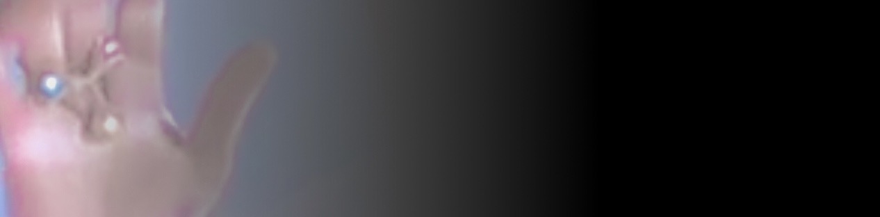 banner with the kara’kesh