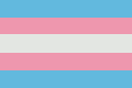 transgender flag