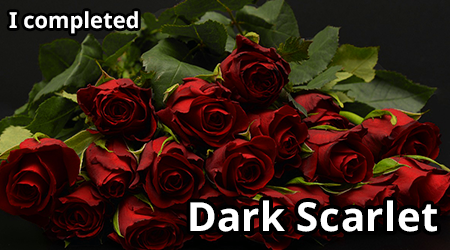dark-scarlet.png
